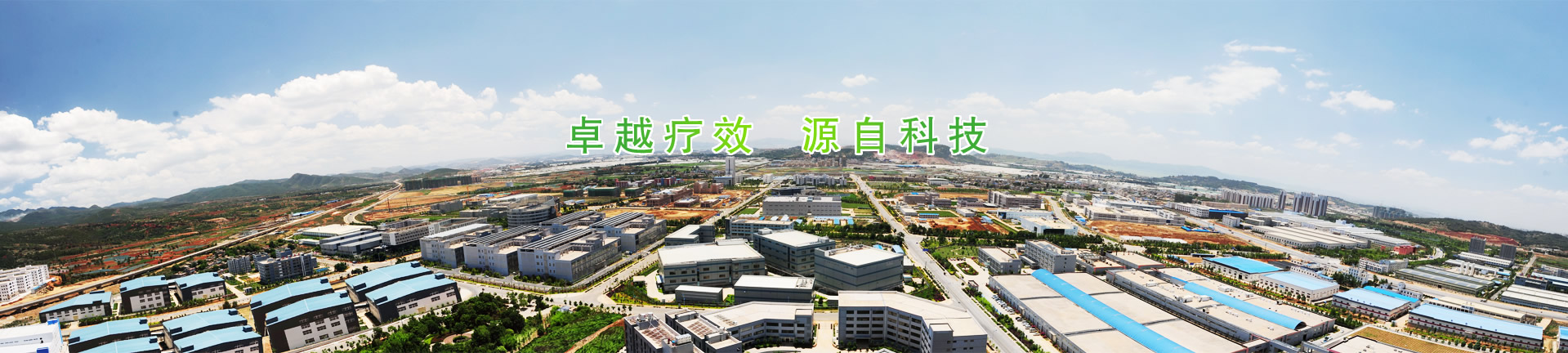 新品推薦1